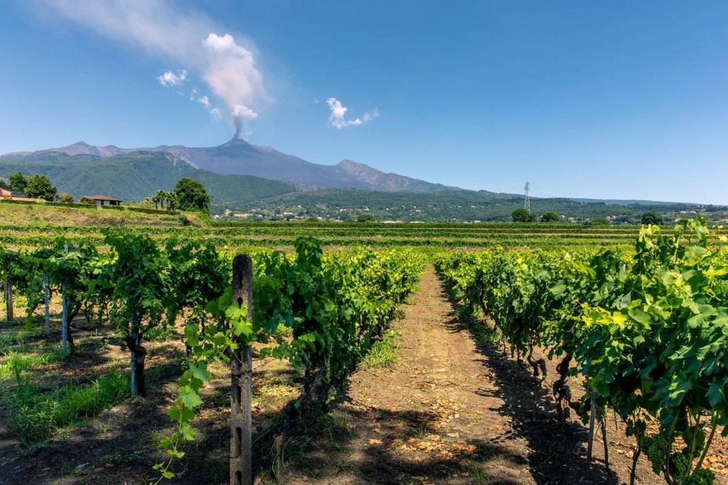 Vini naturali dell’Etna: fuoco, terra e&nbsp;autenticità