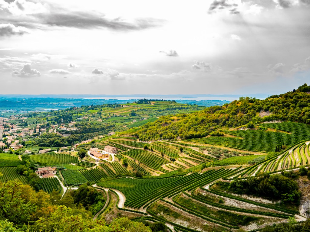 Vini Valpolicella