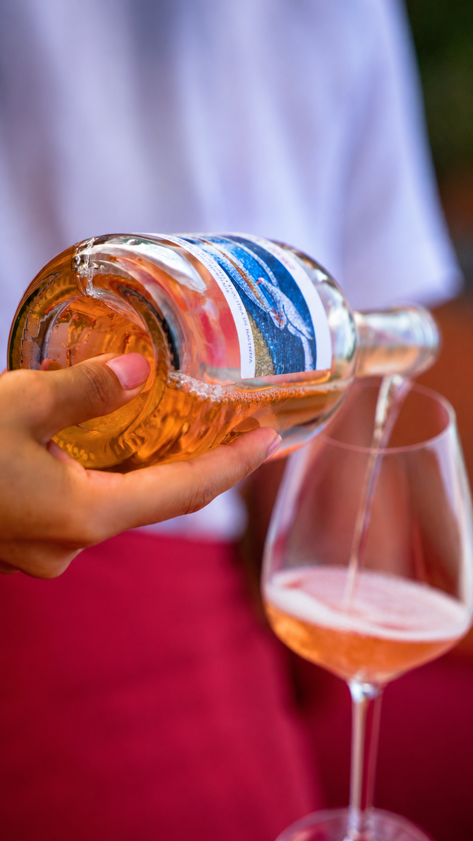 vino romagna